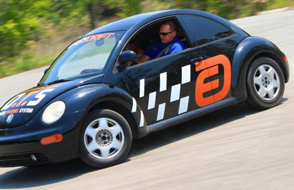 Beetle-crp1